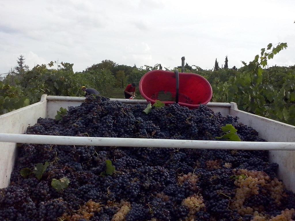 Agriturismo La Querce ริญาโนซุลลาร์โน ห้อง รูปภาพ