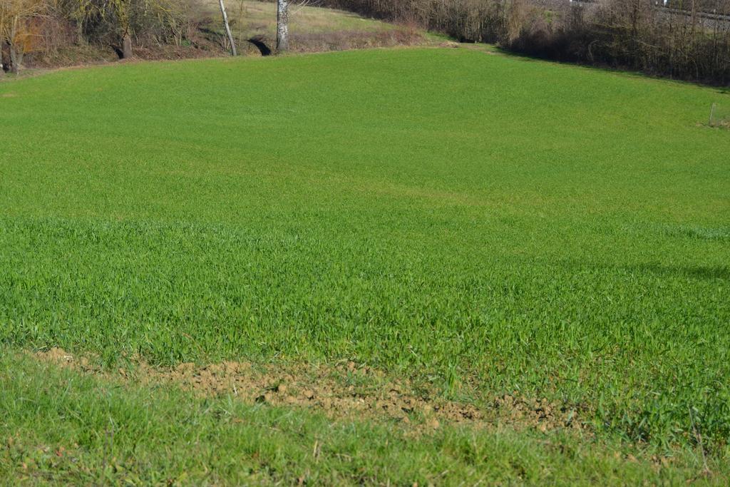 Agriturismo La Querce ริญาโนซุลลาร์โน ห้อง รูปภาพ