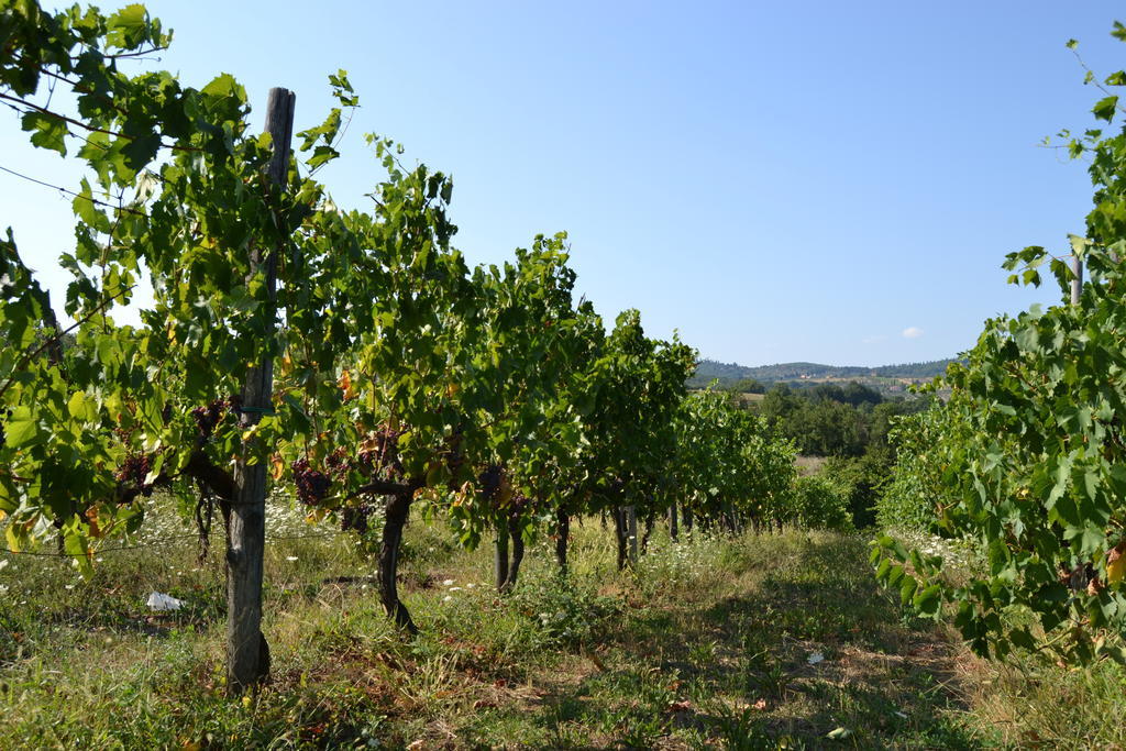 Agriturismo La Querce ริญาโนซุลลาร์โน ภายนอก รูปภาพ