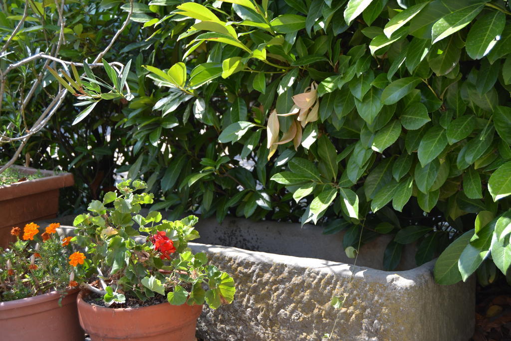 Agriturismo La Querce ริญาโนซุลลาร์โน ภายนอก รูปภาพ