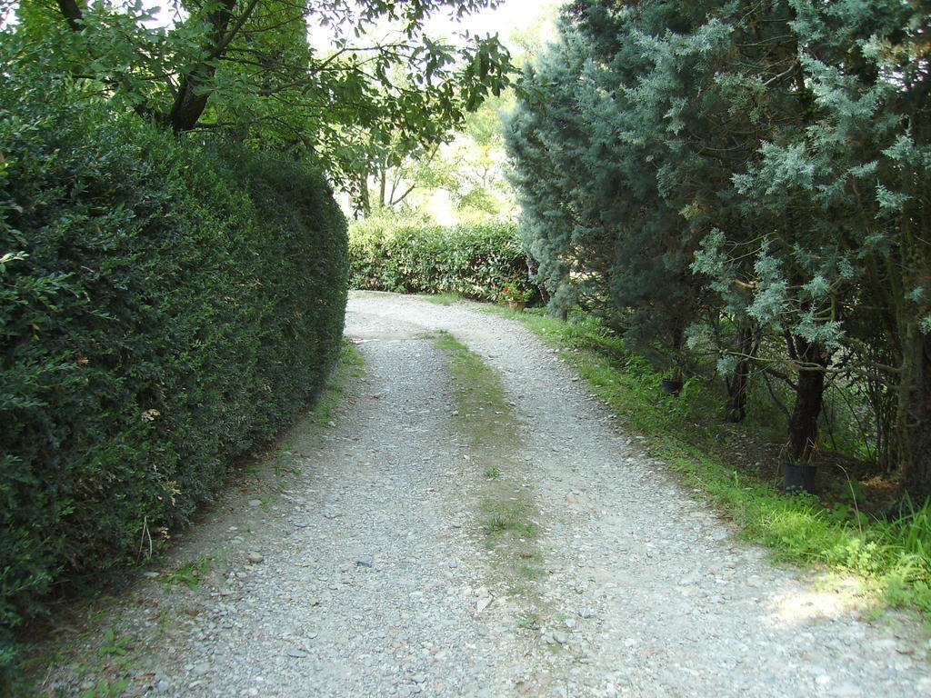 Agriturismo La Querce ริญาโนซุลลาร์โน ภายนอก รูปภาพ