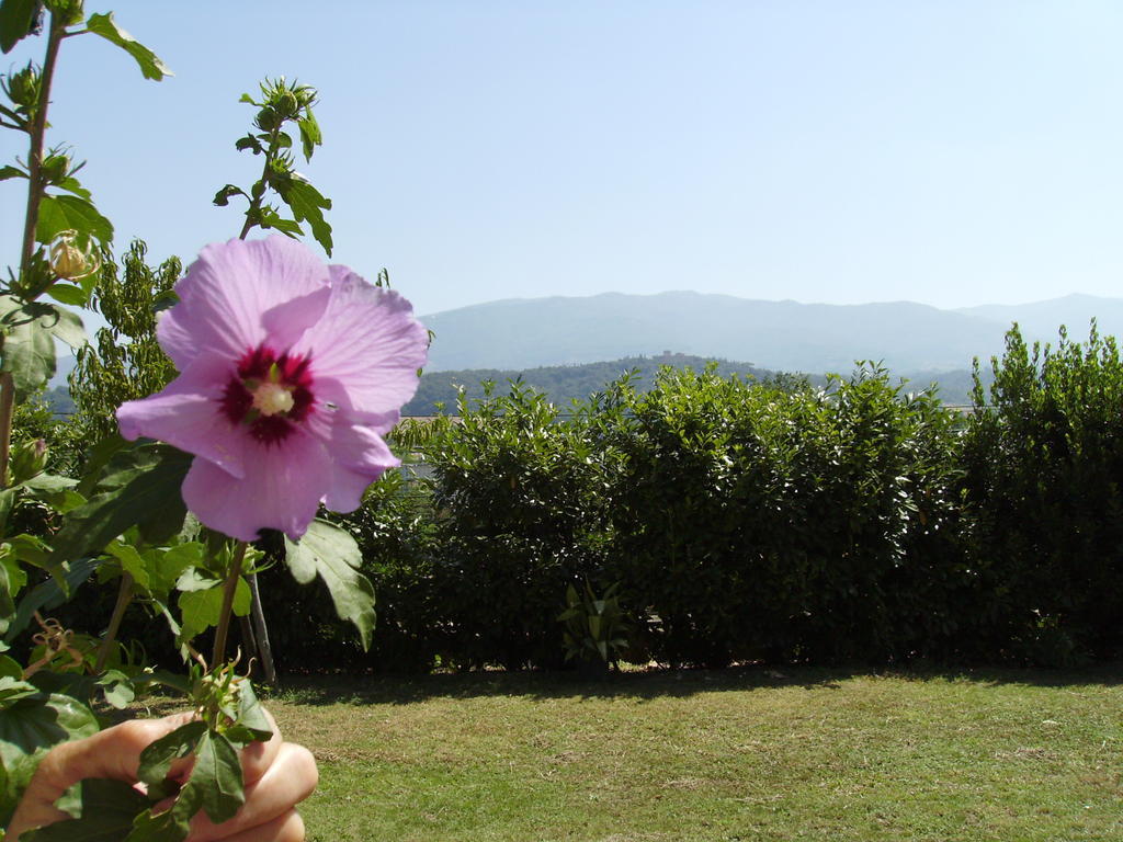 Agriturismo La Querce ริญาโนซุลลาร์โน ภายนอก รูปภาพ